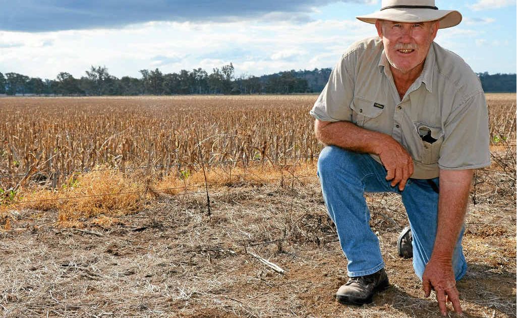 Bony Mountain farmer Gary Cooper says if farmers don’t see rain soon, winter crops will suffer.